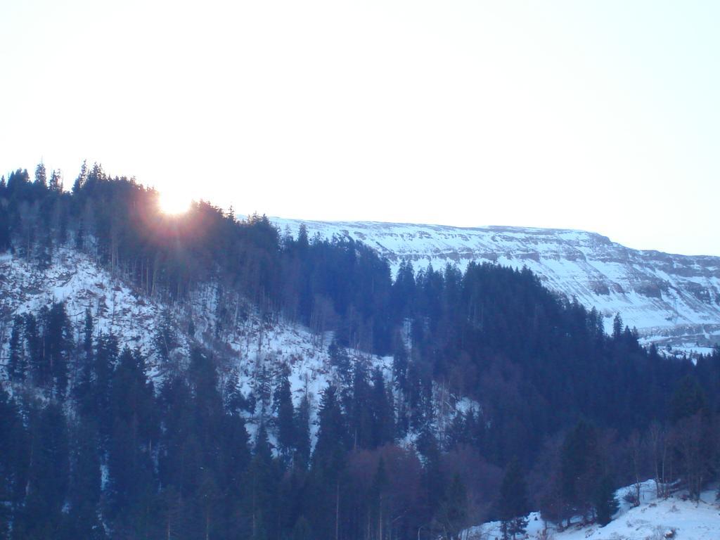 Hotel Alpina Unterwasser Екстериор снимка