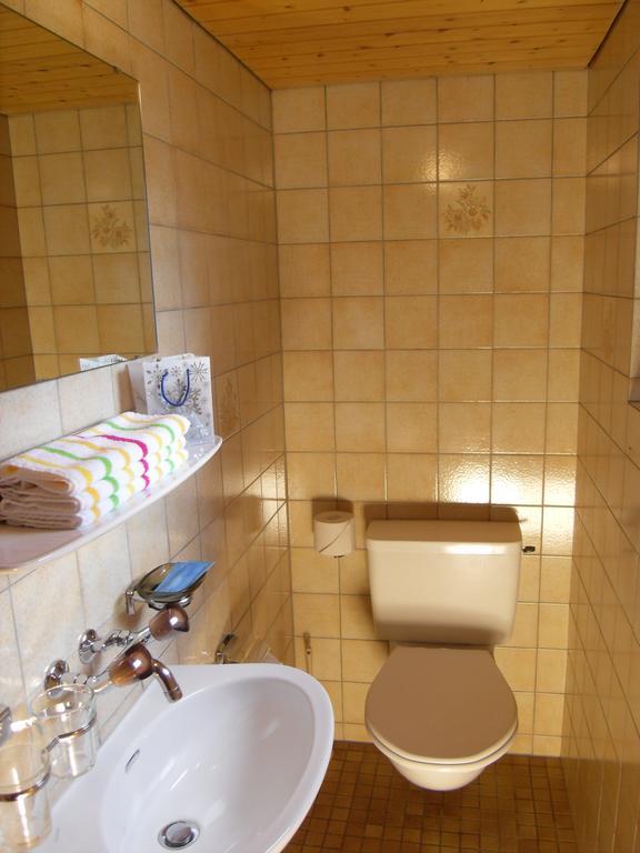 Hotel Alpina Unterwasser Екстериор снимка